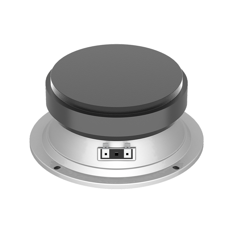 Ferrite Magnet 6.5