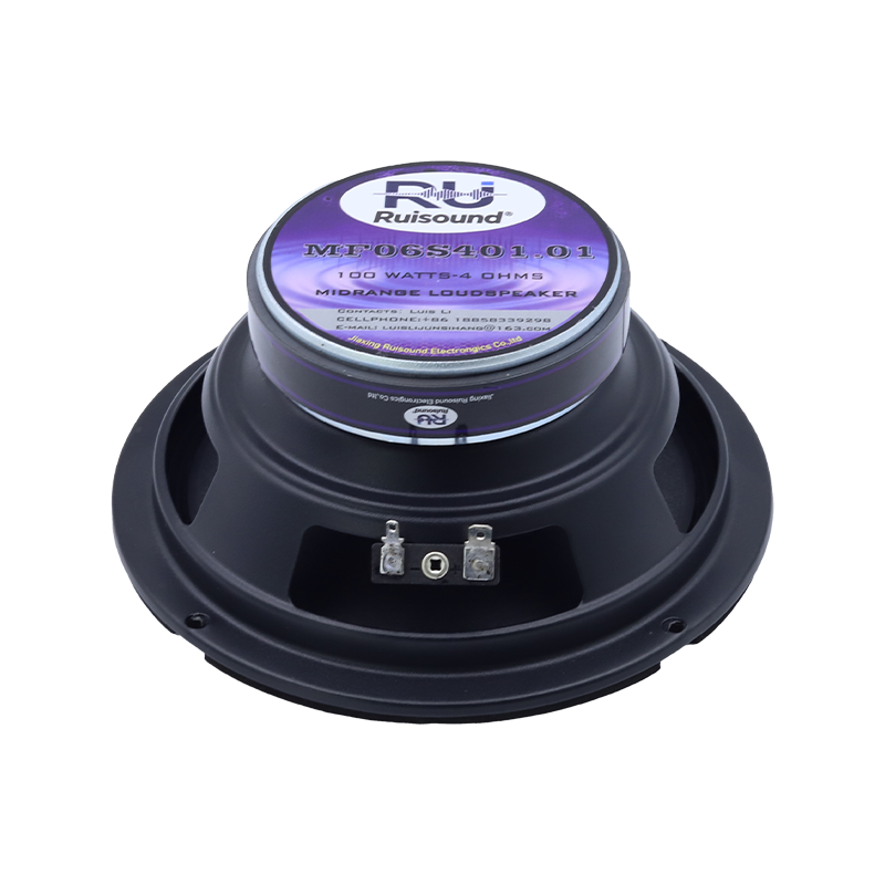 Standard Ferrite Magnet 6