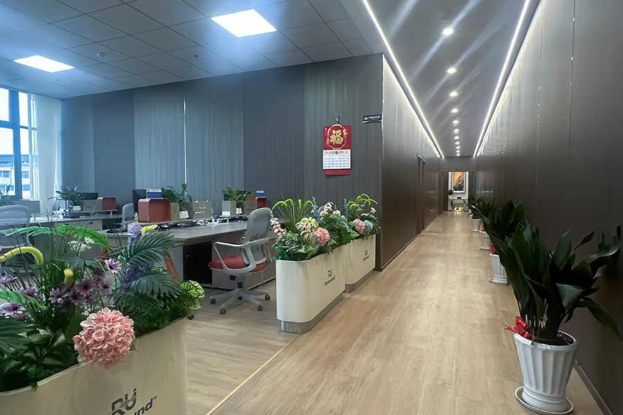 Jiaxing Ruisound Electronics Co., Ltd.